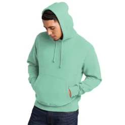 Champion ® Reverse Weave ® Garment-Dyed Hooded Sweatshirt -Ogio || Carhartt || Portwest Shop CHGDS101@4