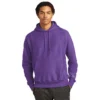 Champion ® Reverse Weave ® Hooded Sweatshirt
